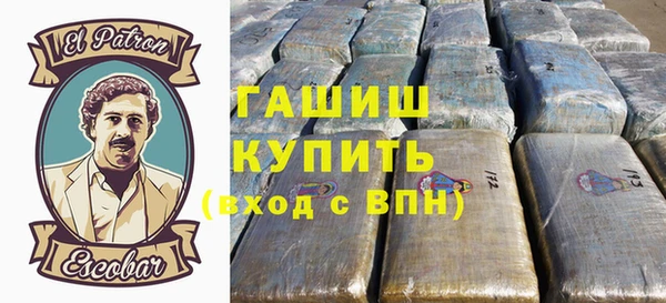 гидра Абаза