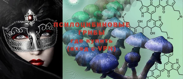 PSILOCYBIN Алексеевка