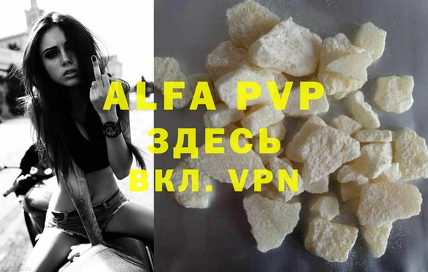 гидра Абаза