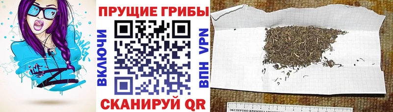 Галлюциногенные грибы мухоморы  где найти   Кадников 