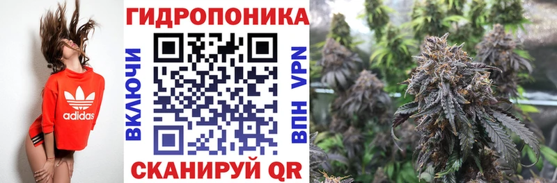 купить Кадников Каннабис планчик